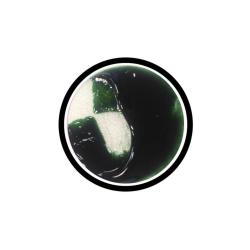 Гель-паста №9 "Dark green", Videsam, 5 мл